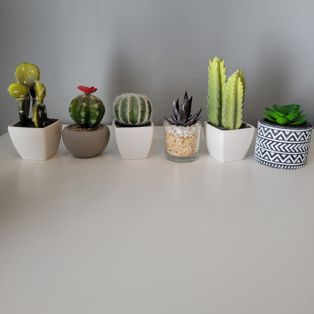 Set of 6 Assorted Faux Potted Succulents & Cactus Plants
